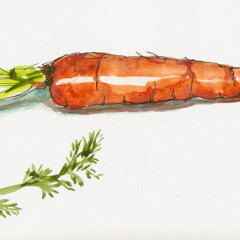 A Portfolio Update: Carrot On A Stick